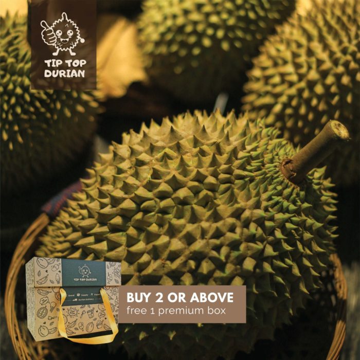 Tekka Premium with Premium Box | Tip Top Durian Delivery | Malaysia Top Fresh Durian Online Delivery