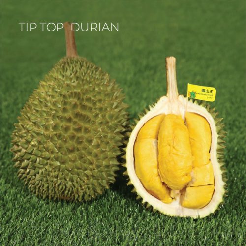 Musang King Durian D197 | Tip Top Durian Delivery | Malaysia Top Fresh Durian Online Delivery